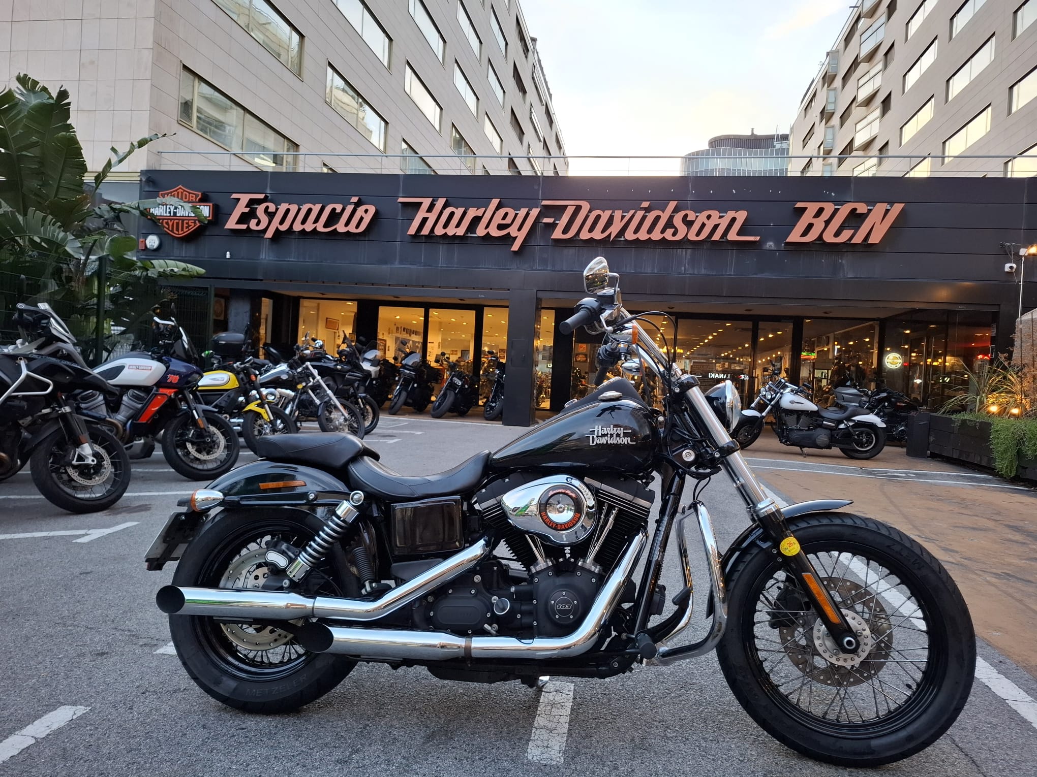 Harley-Davidson de ocasión en Espacio Harley-Davidson Barcelona