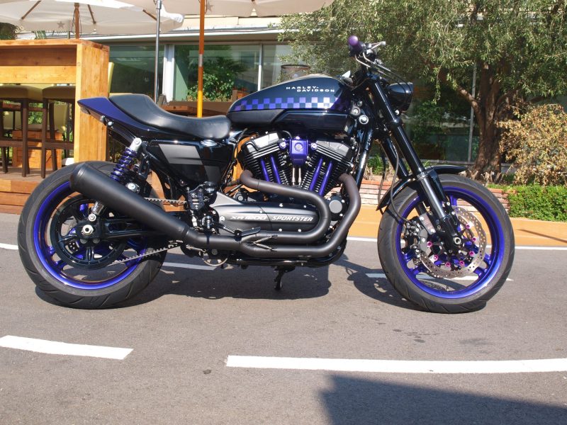 Purple Race