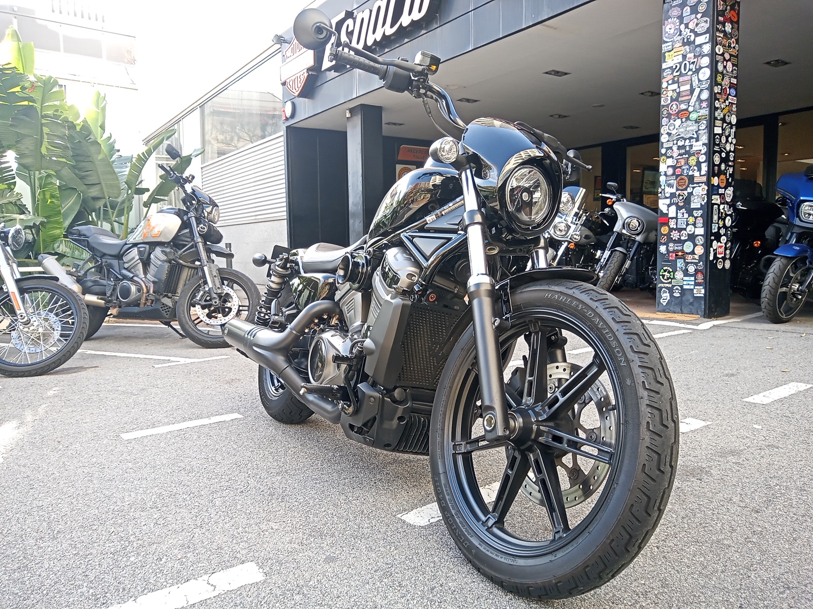 Nightster™ photo 4