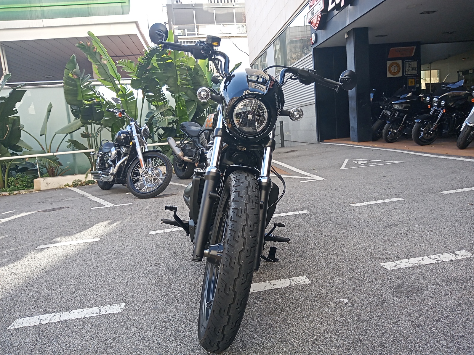 Nightster™ photo 5