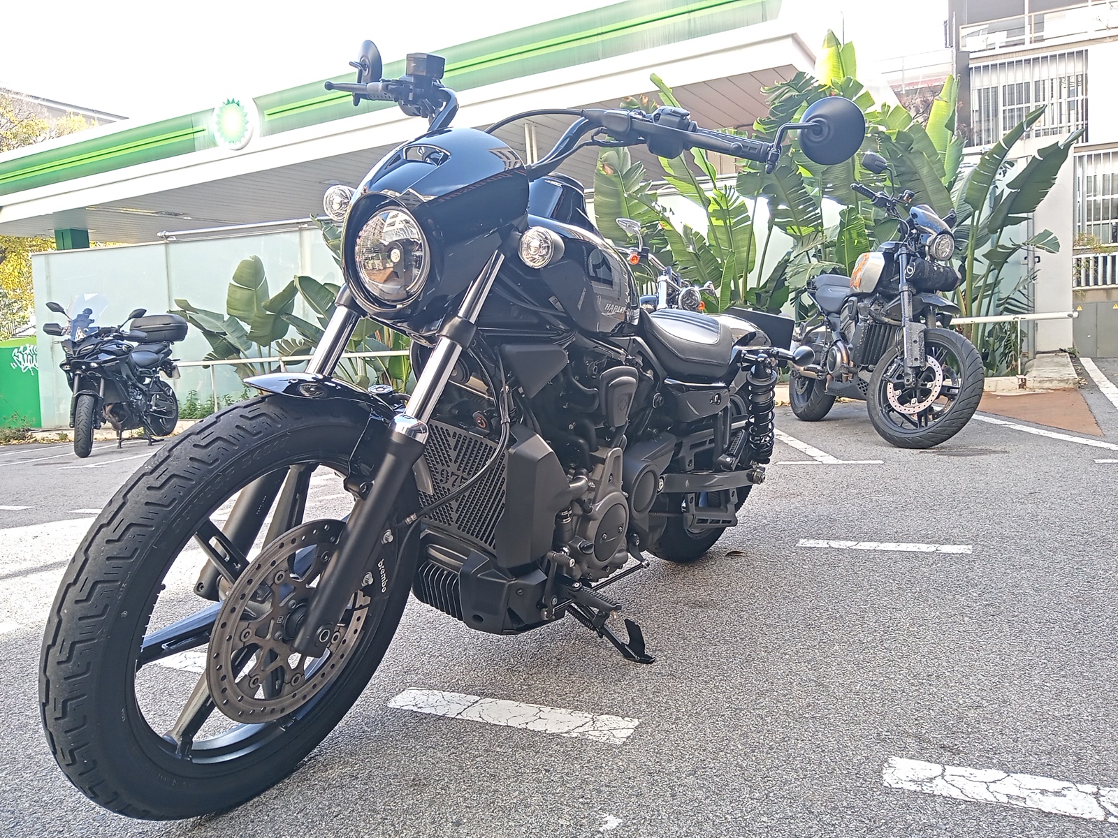Nightster™ photo 6