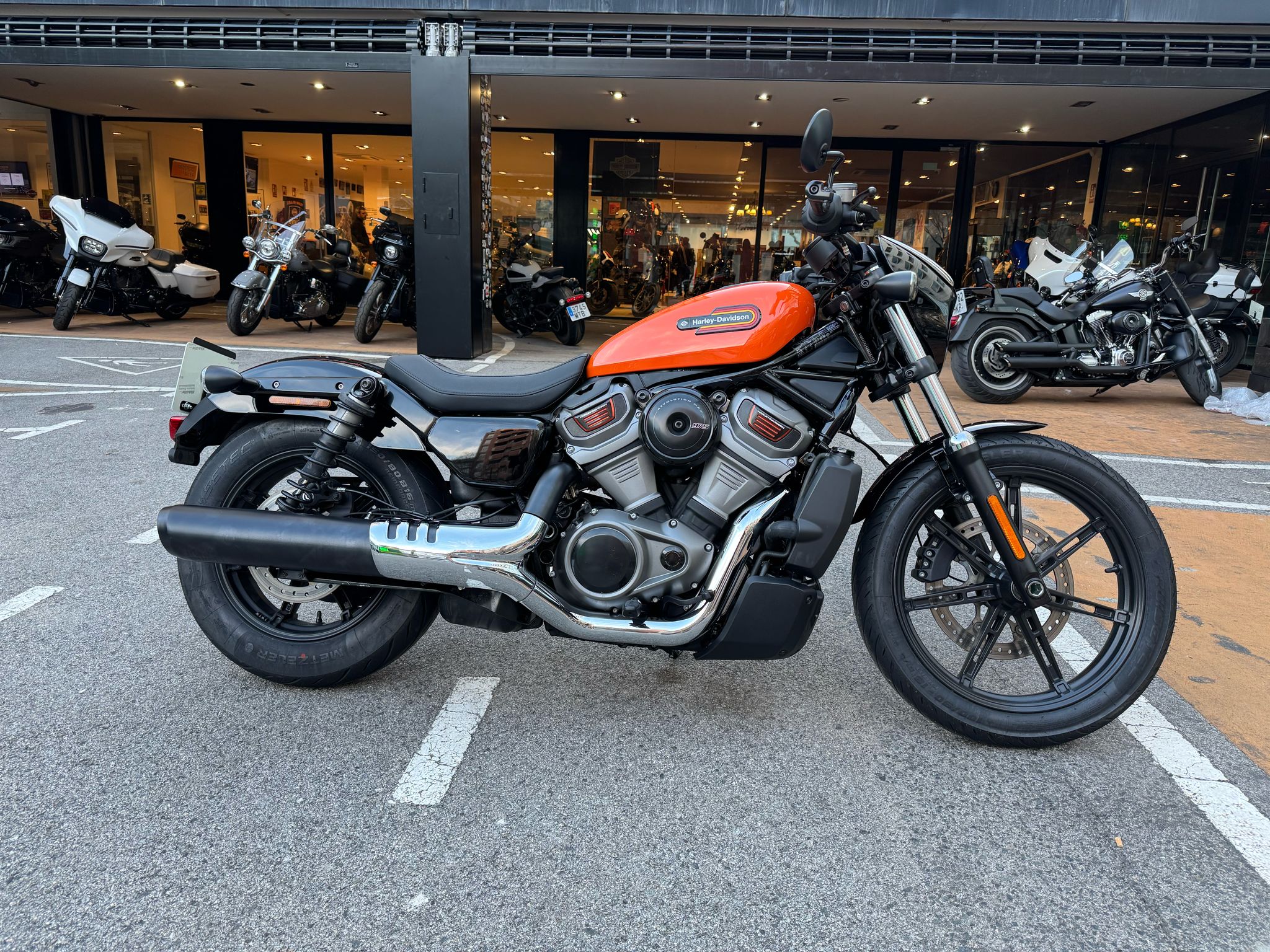 Nightster™ photo 2