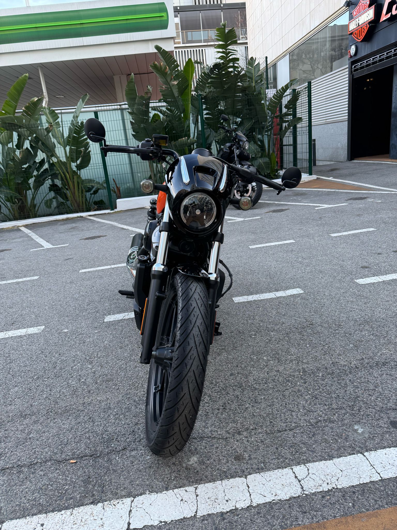 Nightster™ photo 5