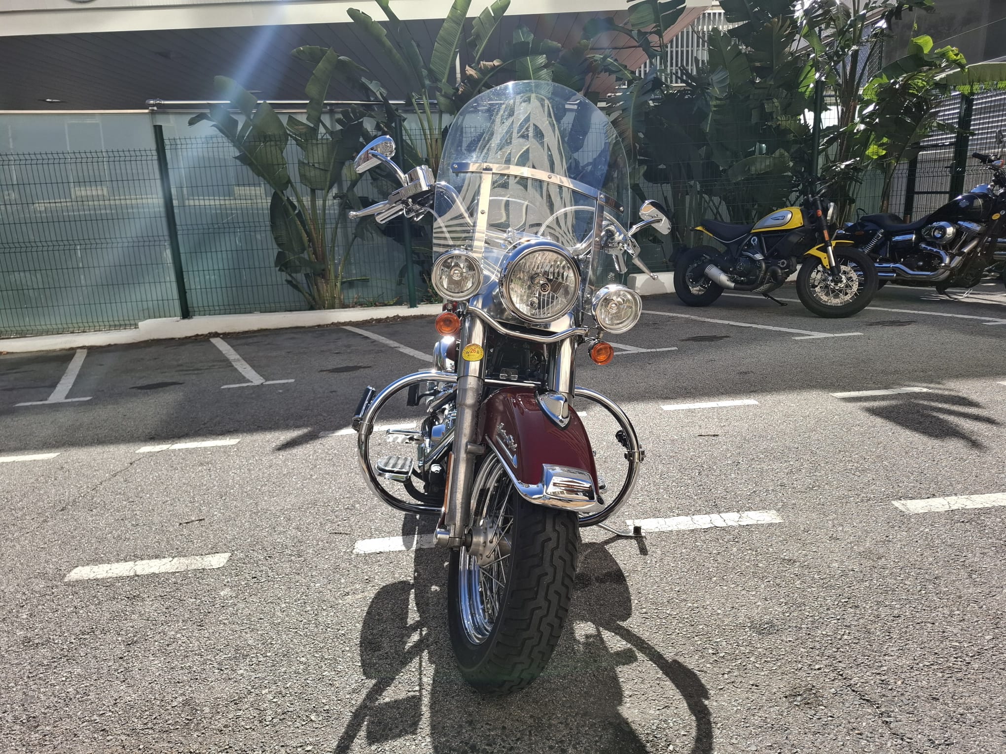 Heritage Softail Classic foto 4