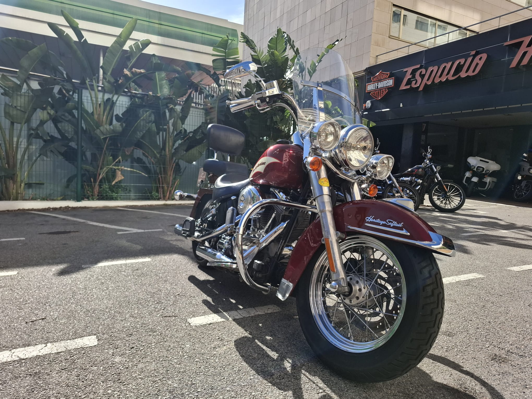 Heritage Softail Classic foto 12