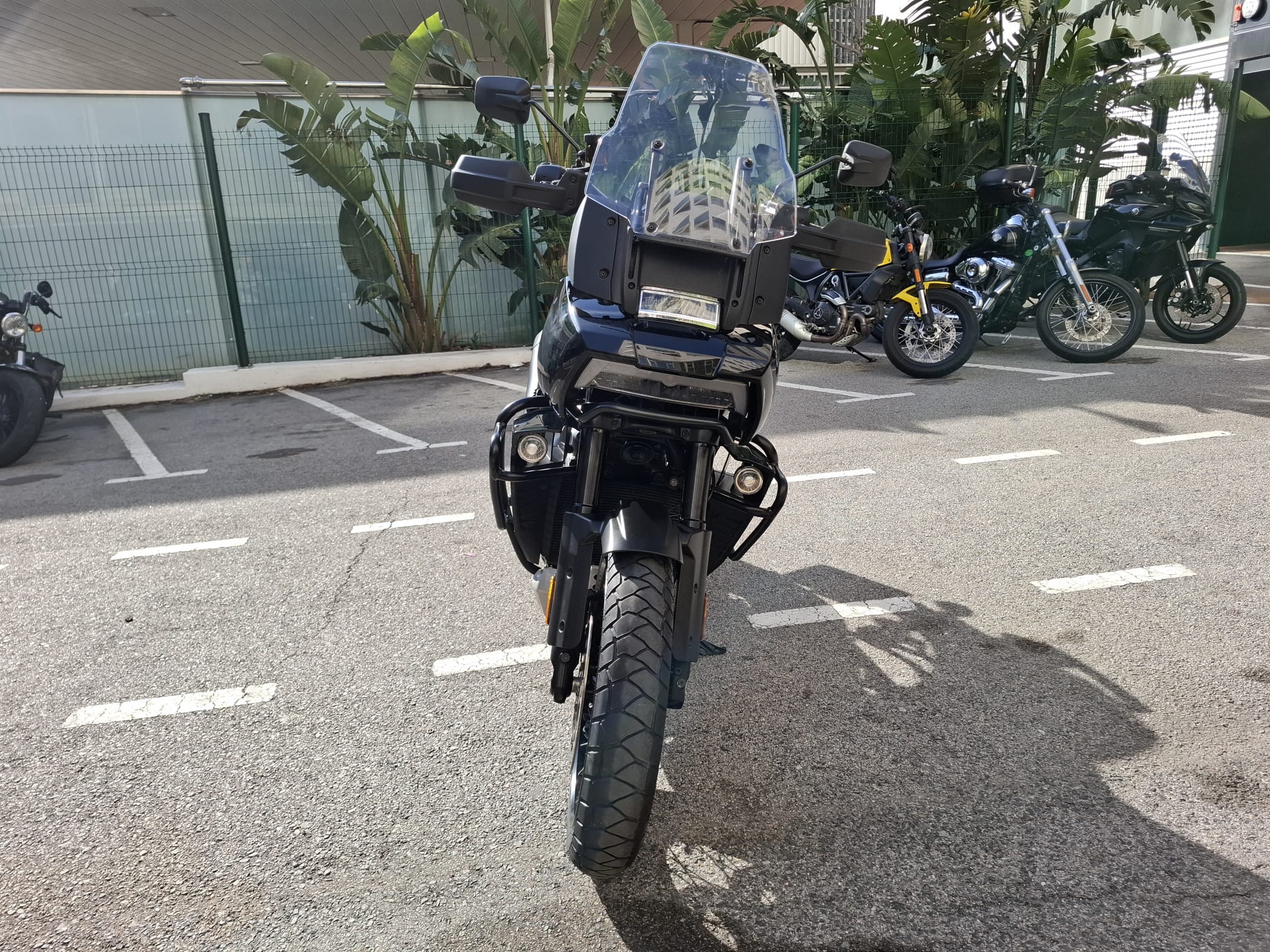 Pan America™ 1250 Special photo 8