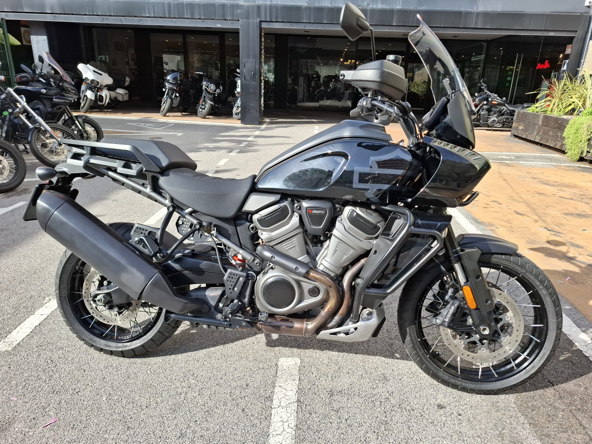 Pan America™ 1250 Special photo 9