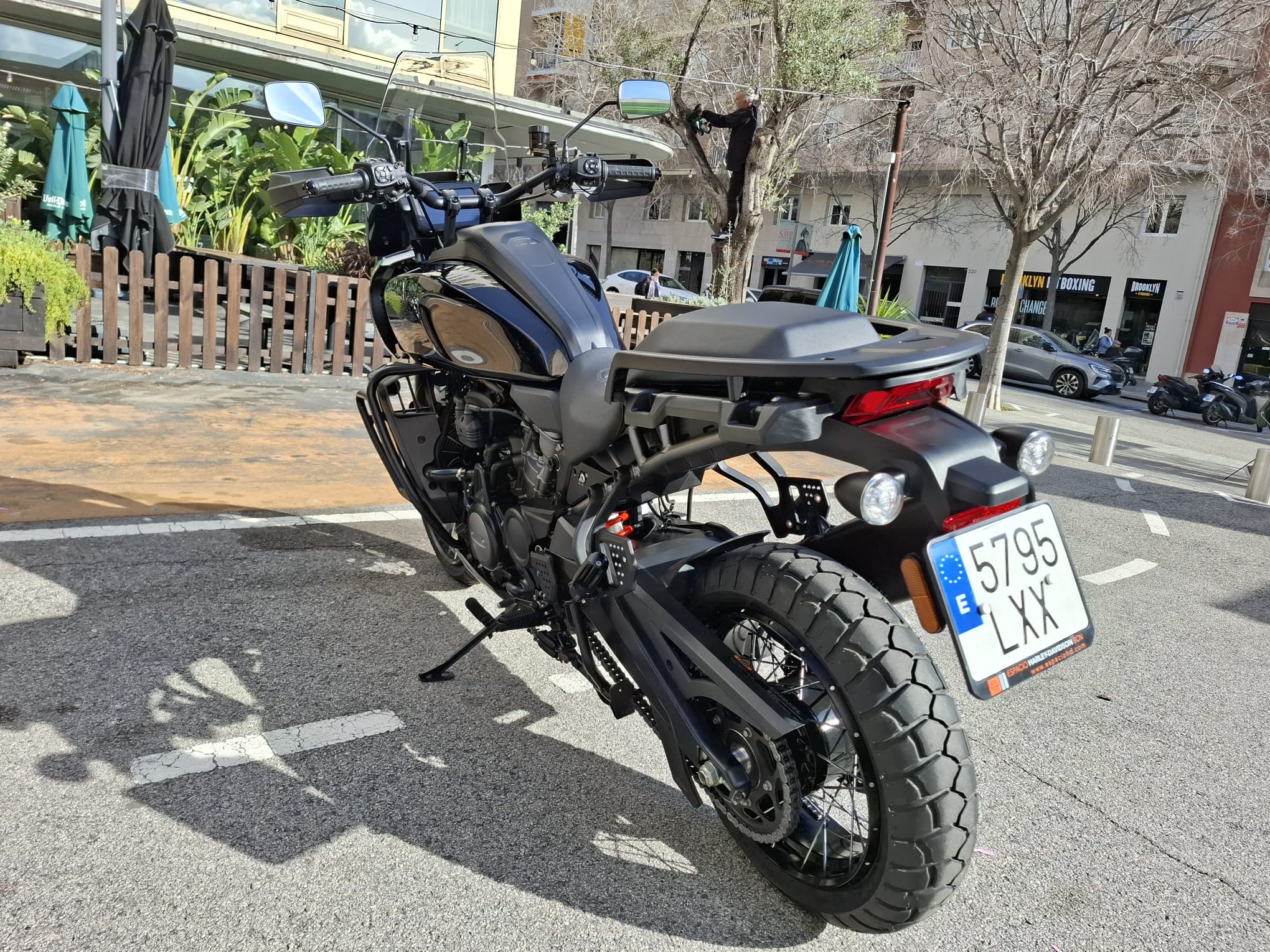 Pan America™ 1250 Special photo 2
