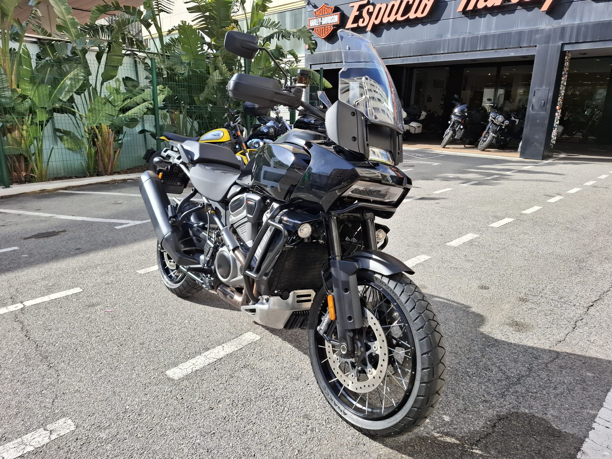 Pan America™ 1250 Special photo 3