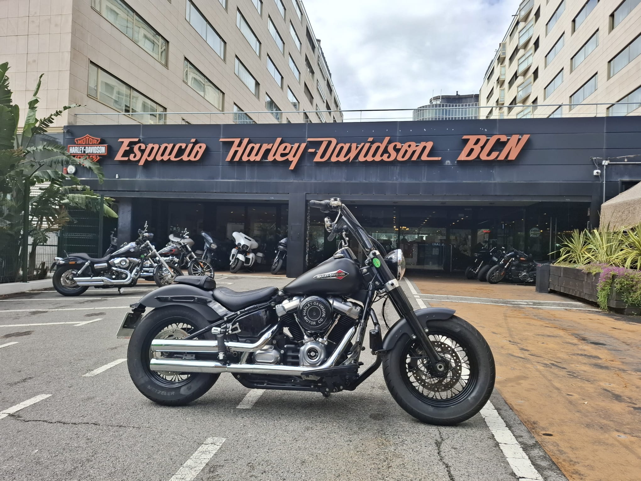 Softail Slim® 107 2018