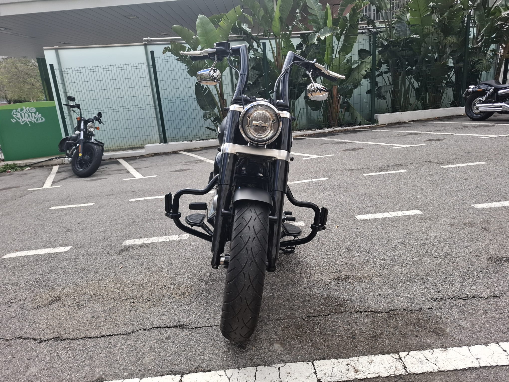Softail Slim® 107 photo 6