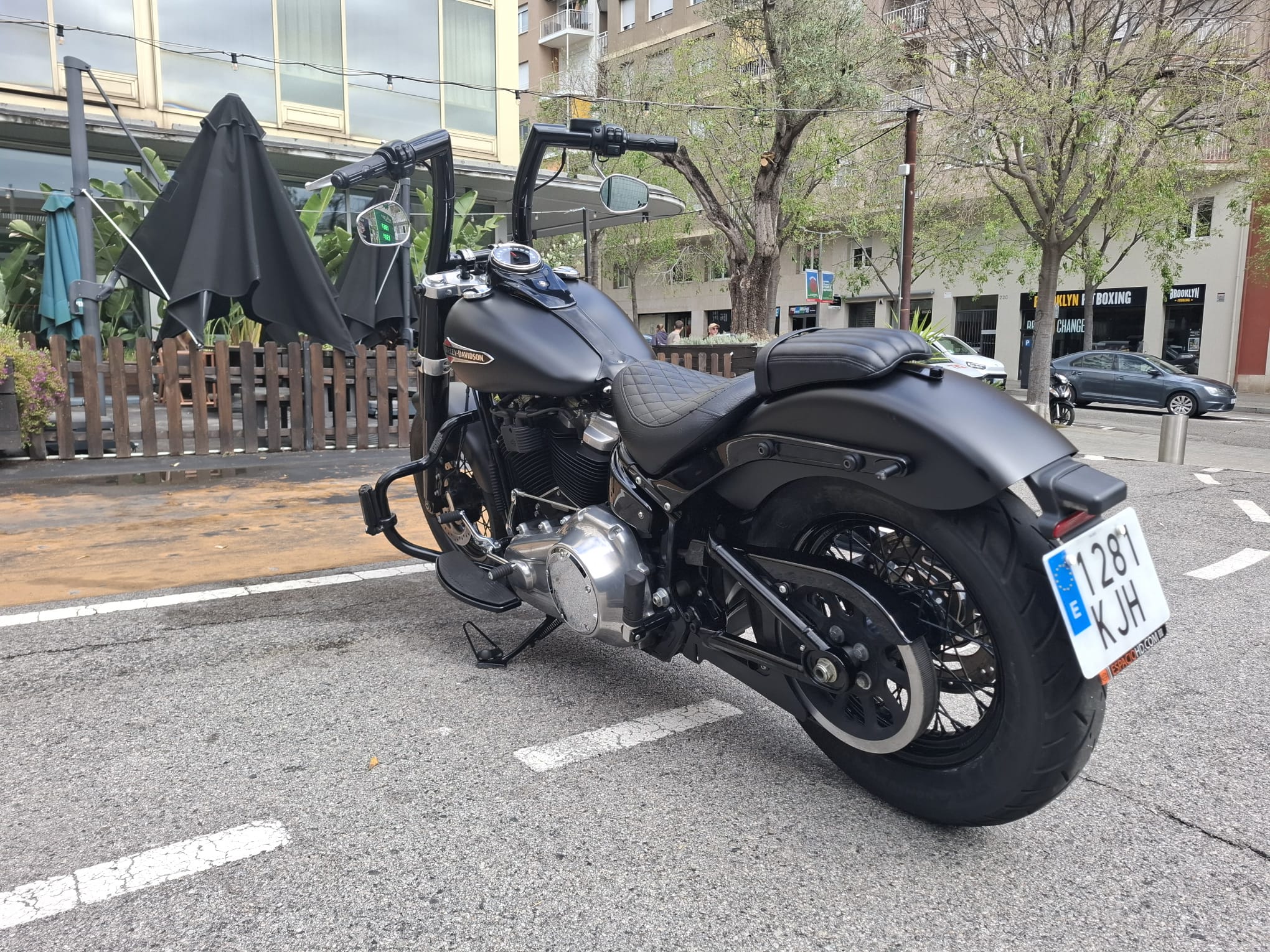 Softail Slim® 107 photo 17