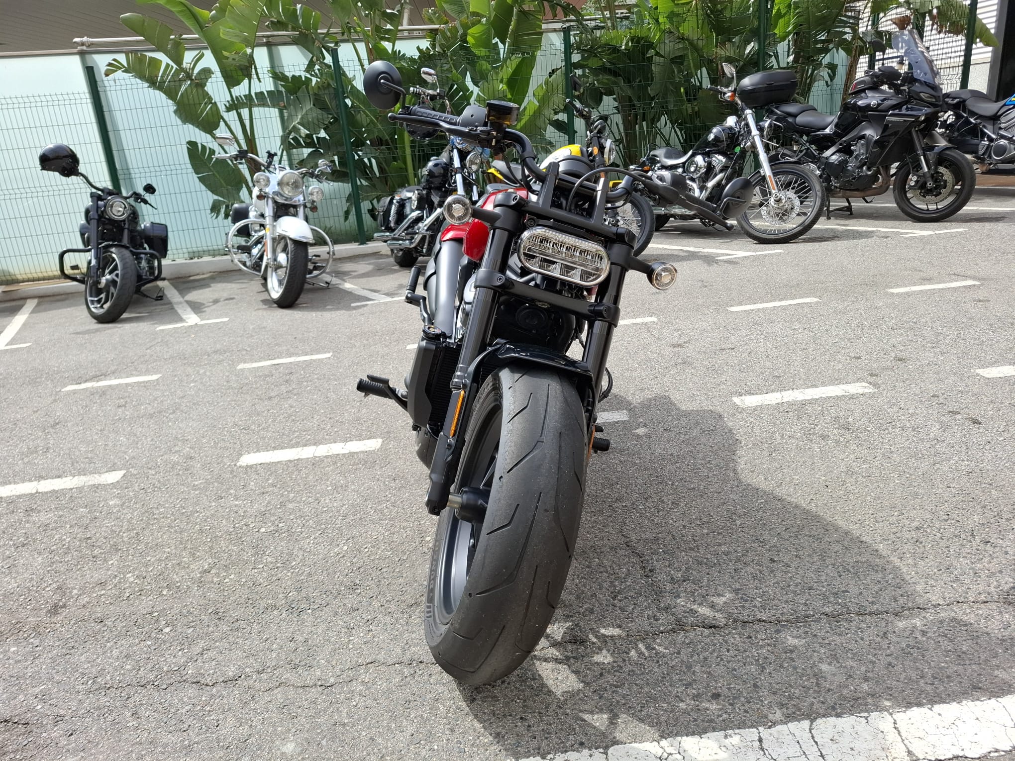 Sportster® S foto 8