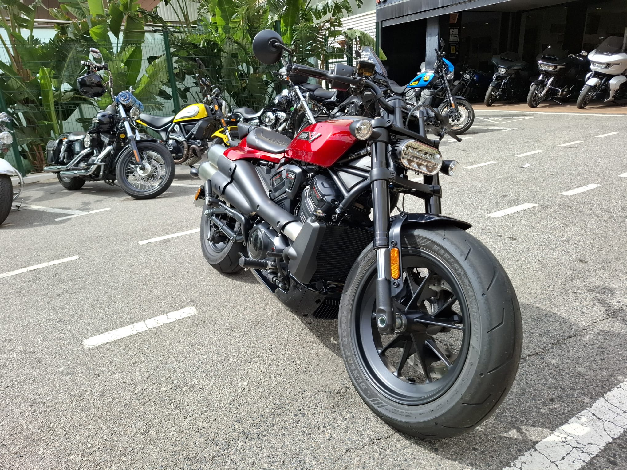 Sportster® S foto 7