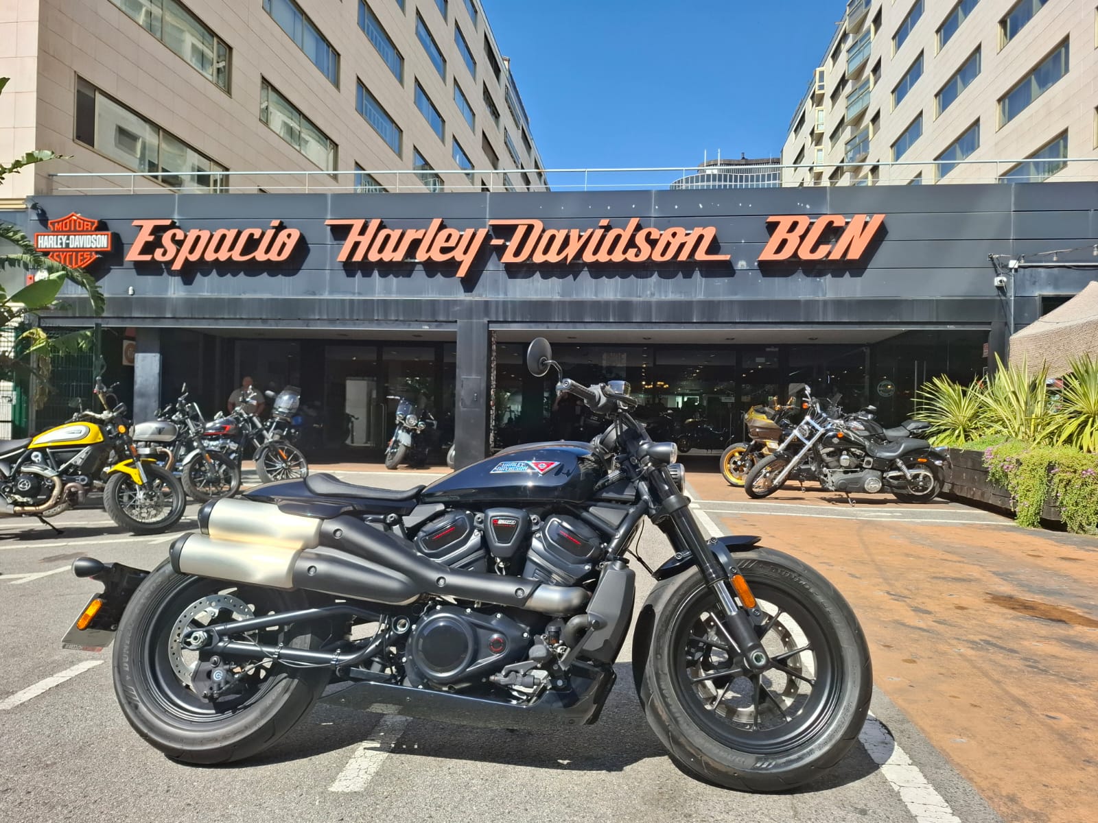 SPORTSTER S 2025 ocasión en Barcelona