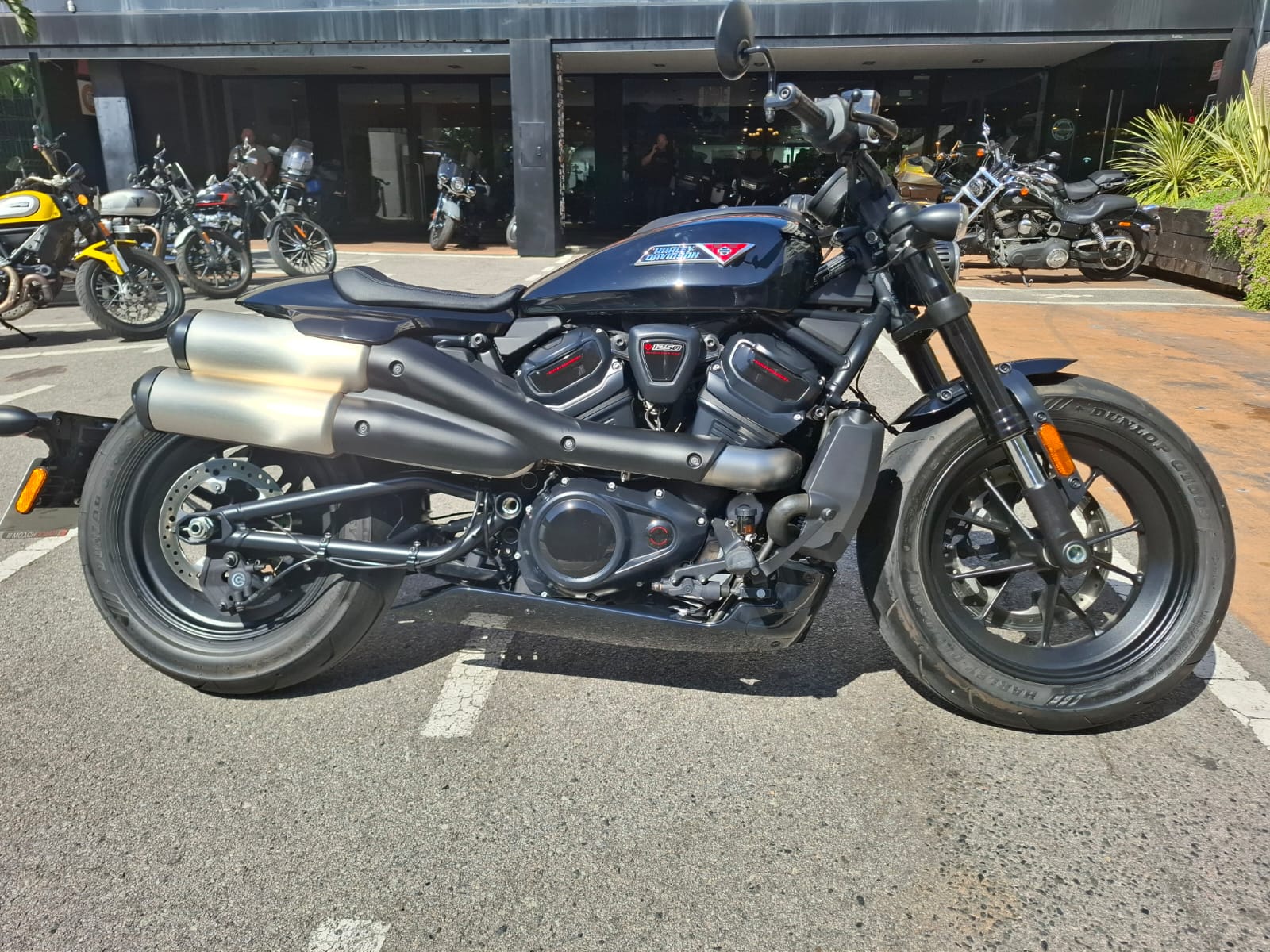 SPORTSTER S foto 2