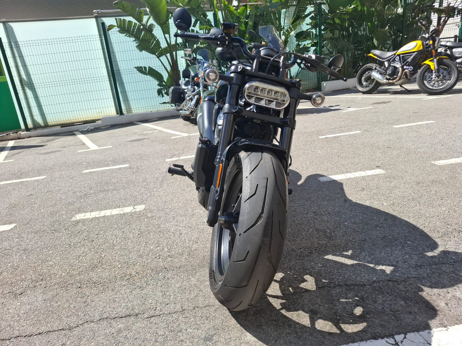 SPORTSTER S foto 7