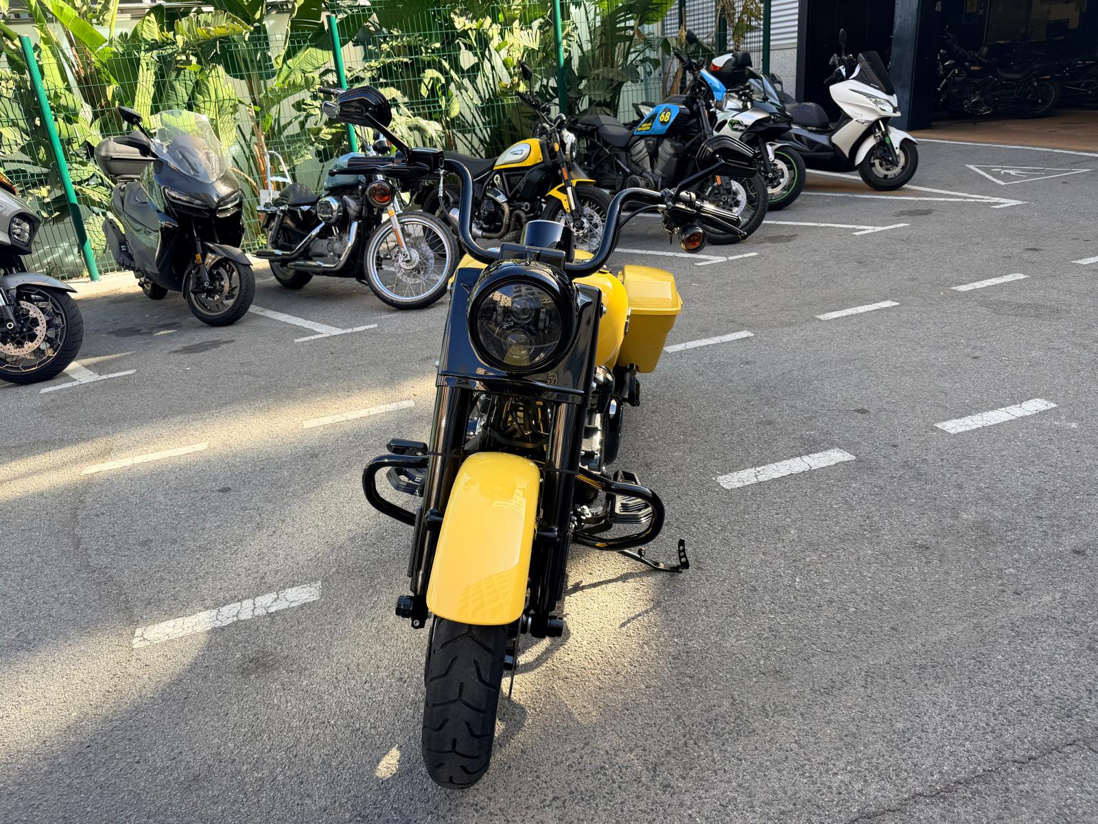 ROAD KING foto 4