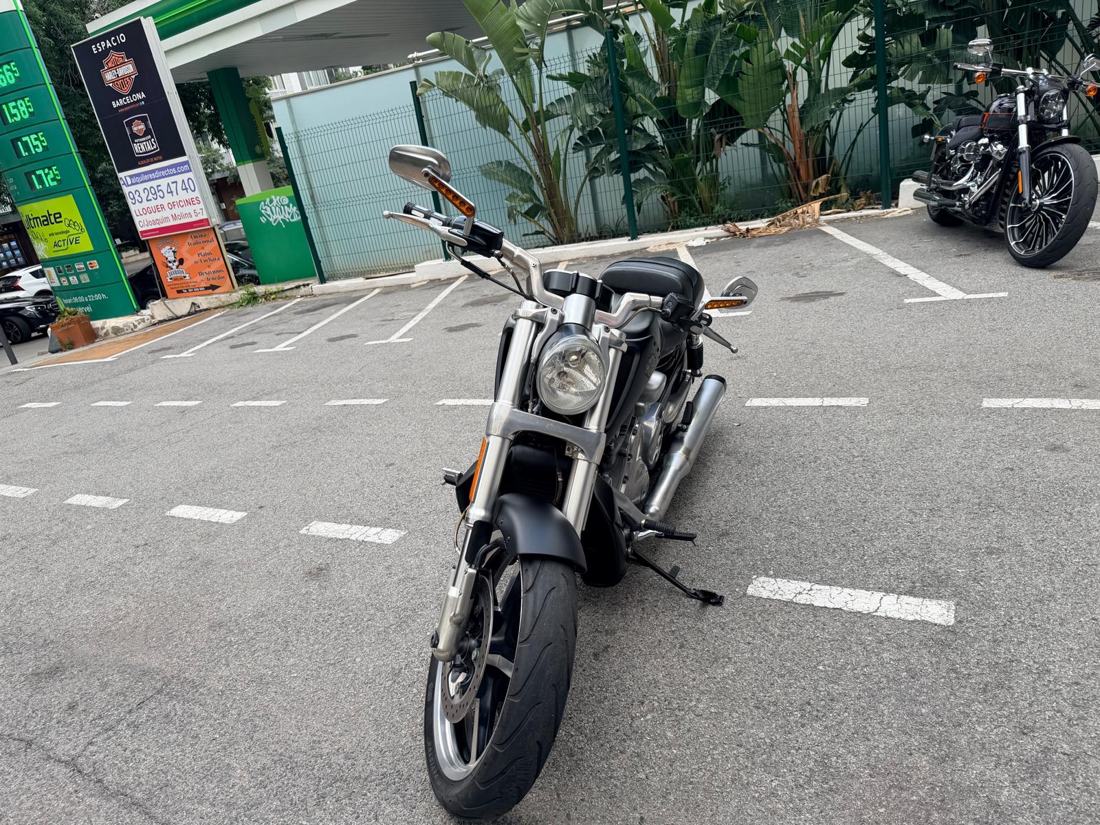 V-Rod Muscle foto 2