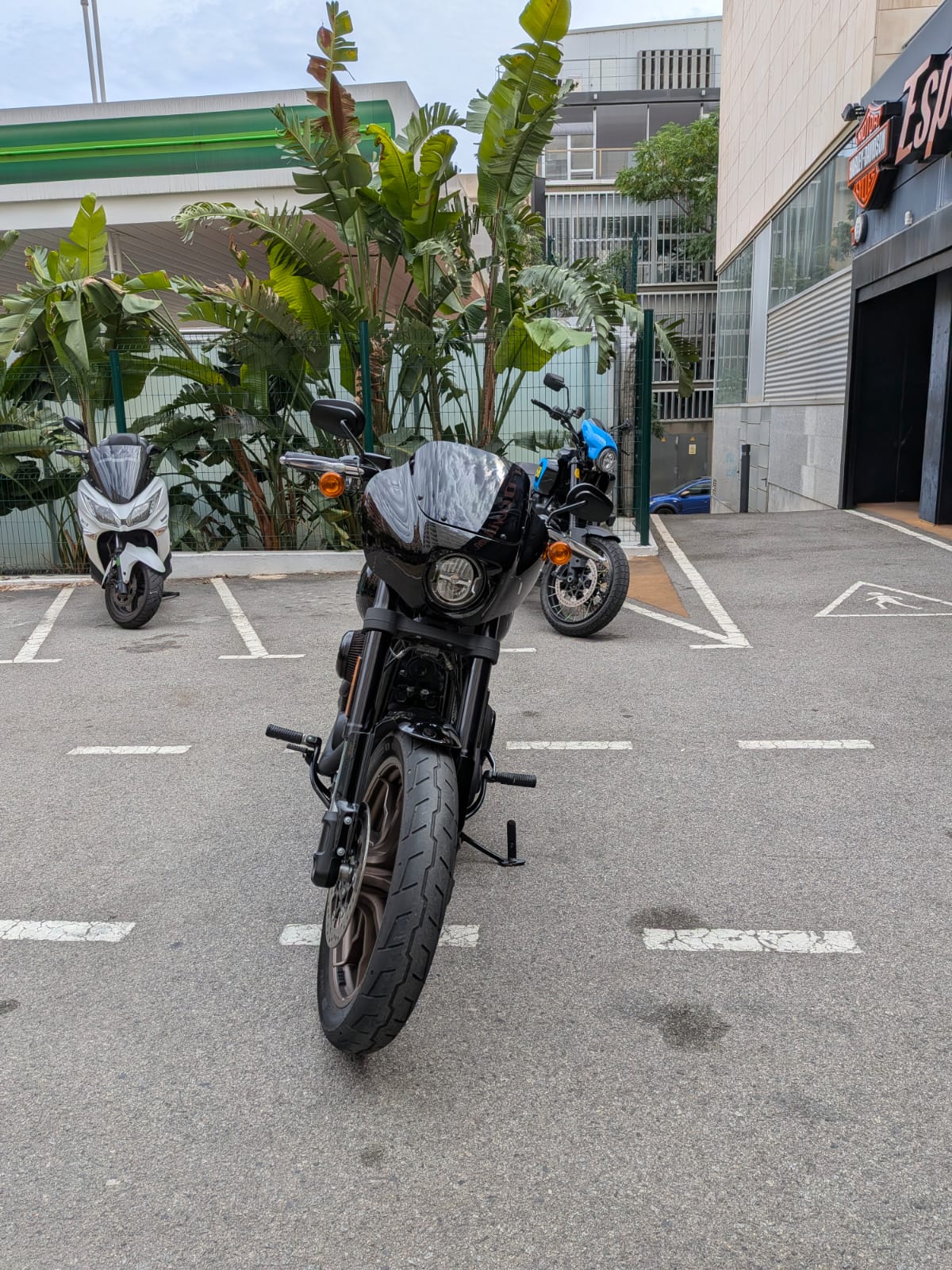 LOW RIDER S foto 10