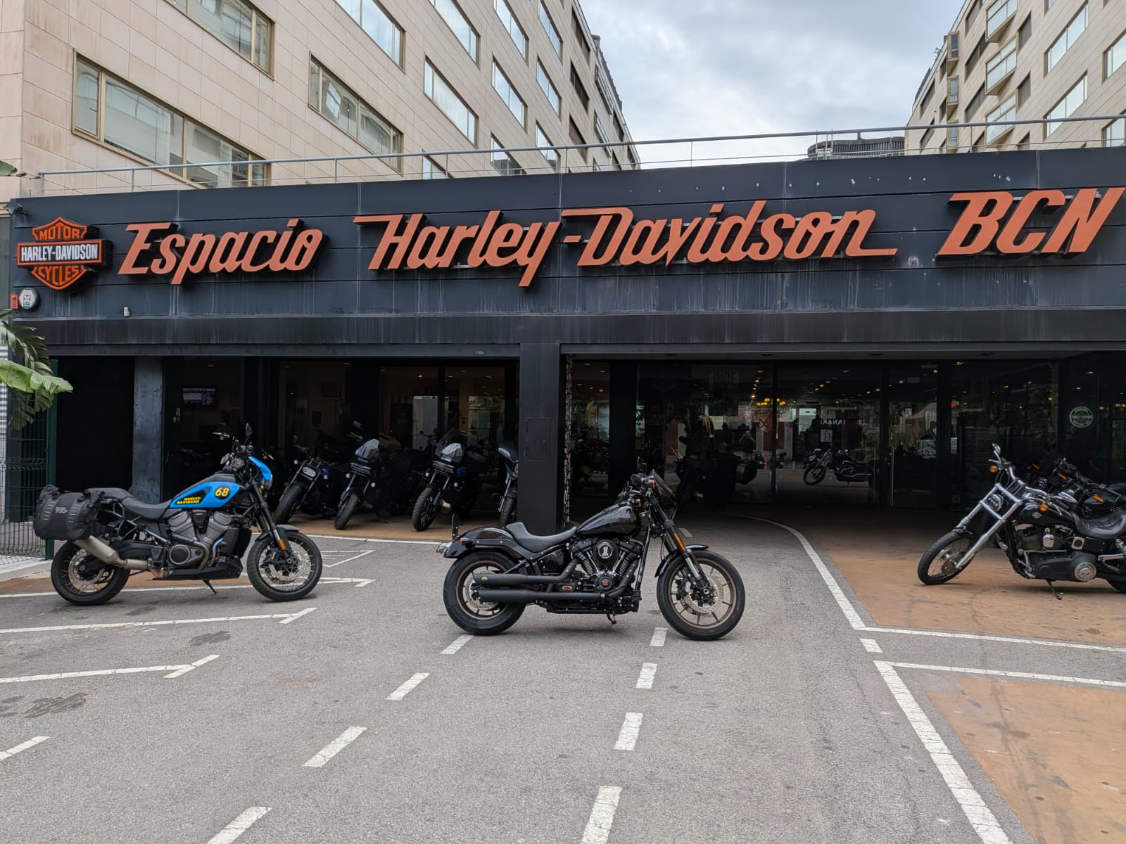 LOW RIDER S 2022 d'ocasió a Barcelona