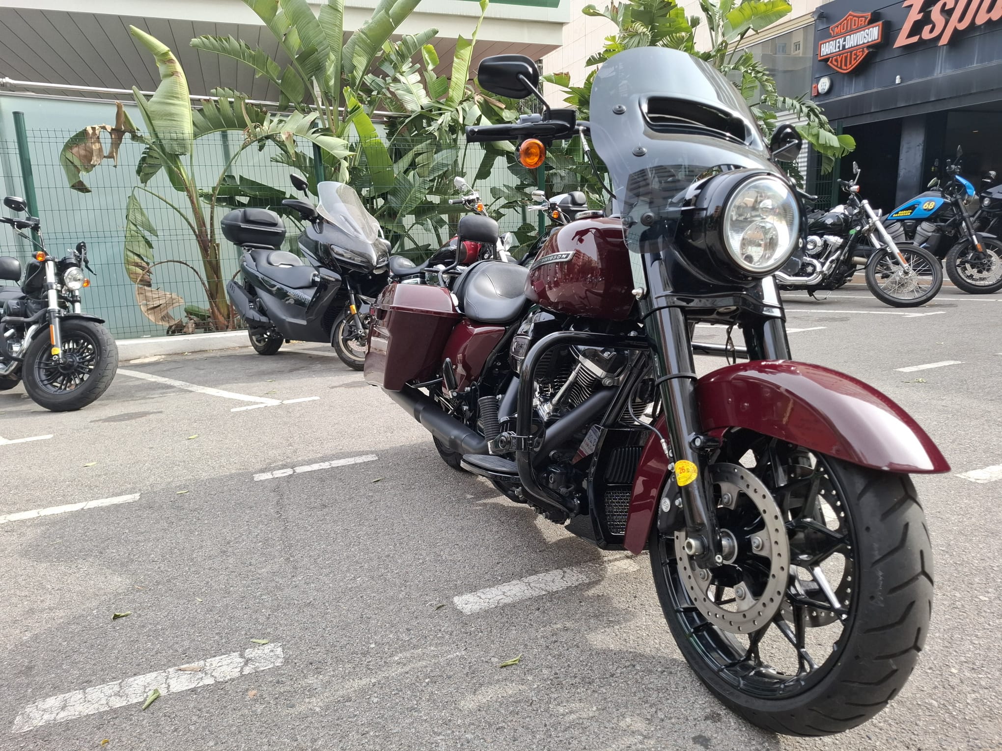 ROAD KING SPECIAL foto 3