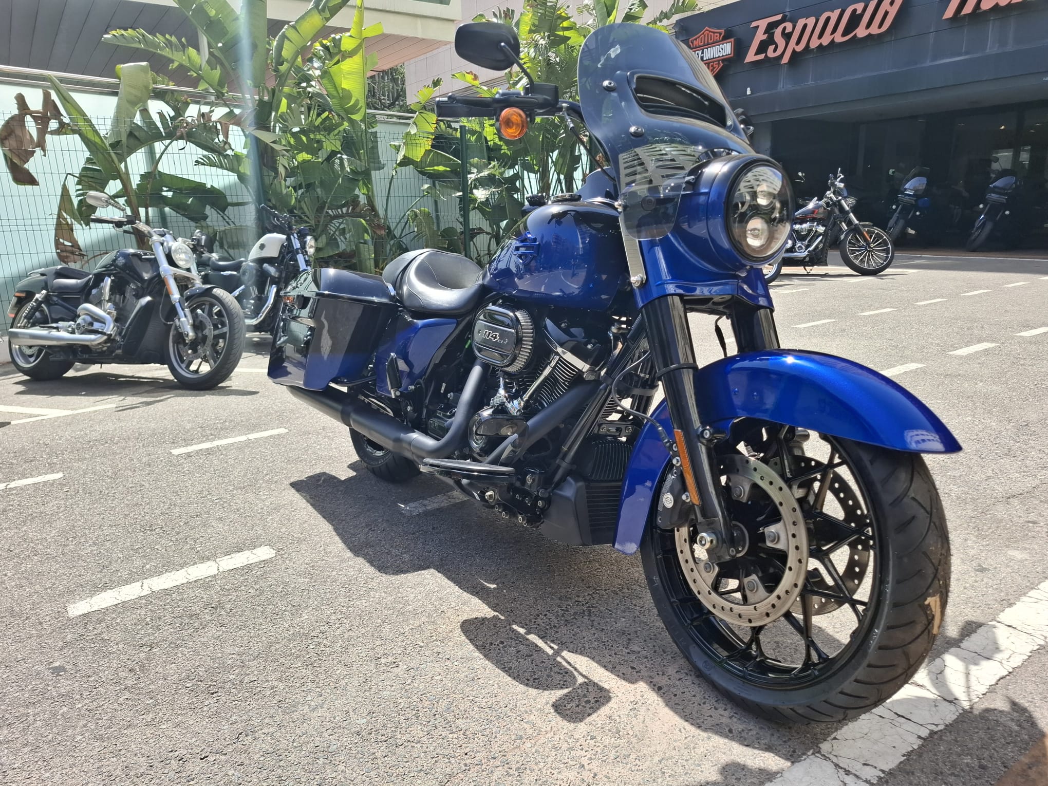 ROAD KING SPECIAL foto 3