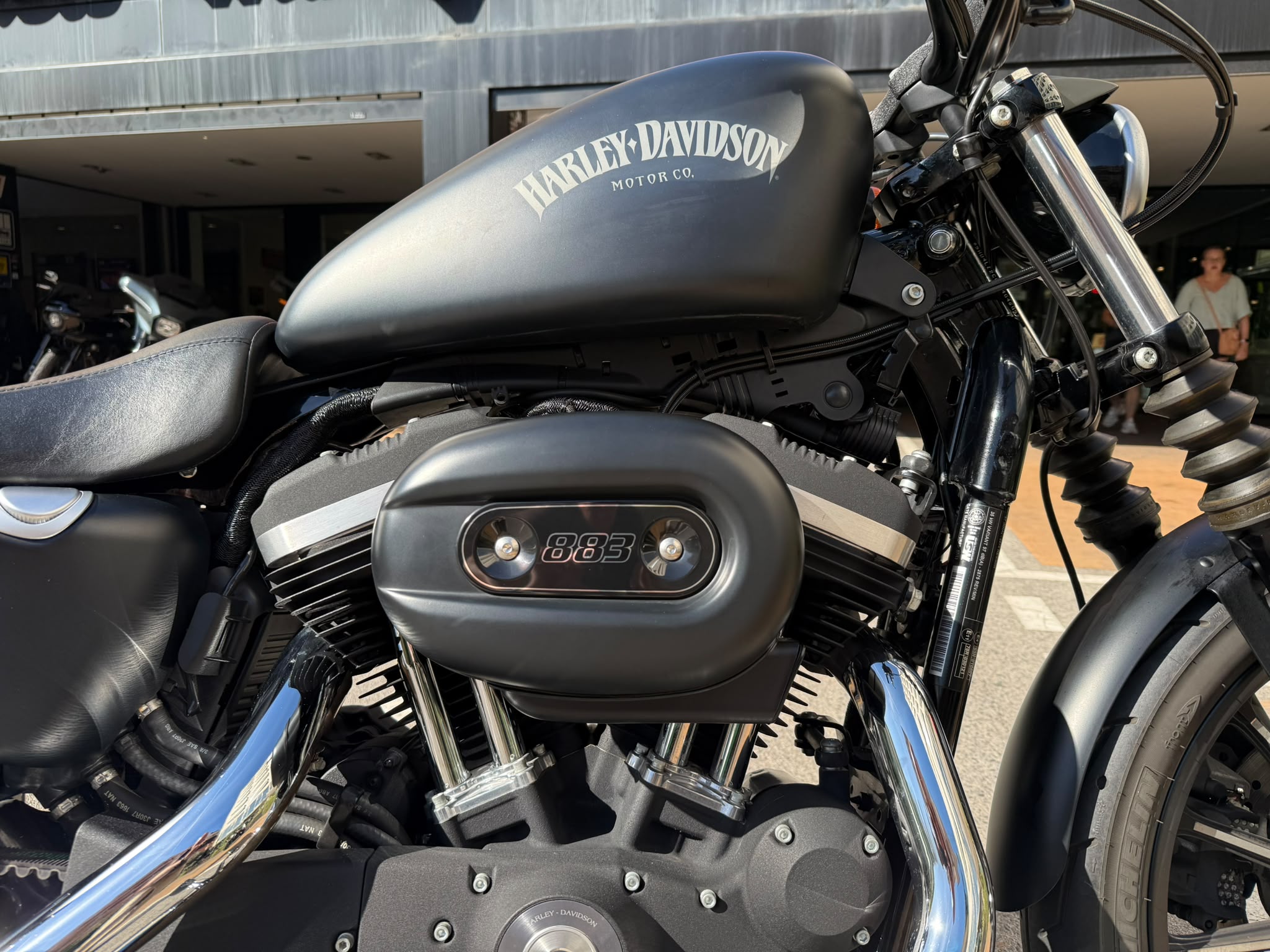 IRON 883 foto 3