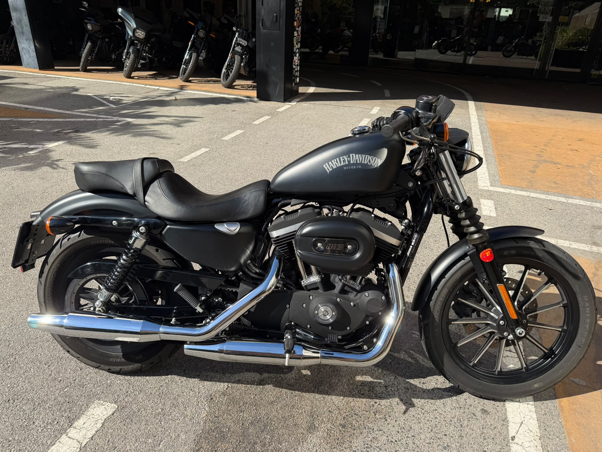 IRON 883 foto 5