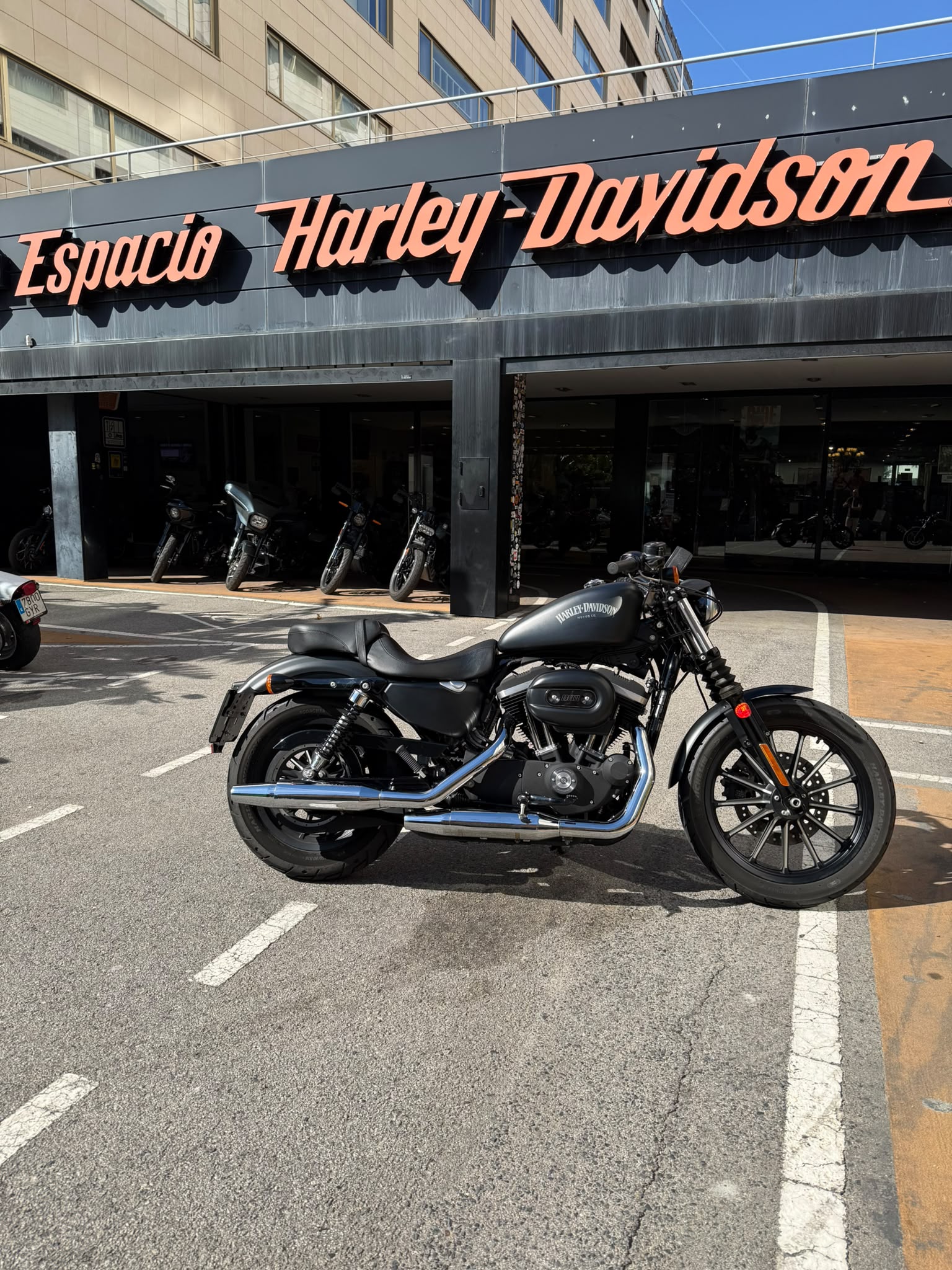 IRON 883 foto 2