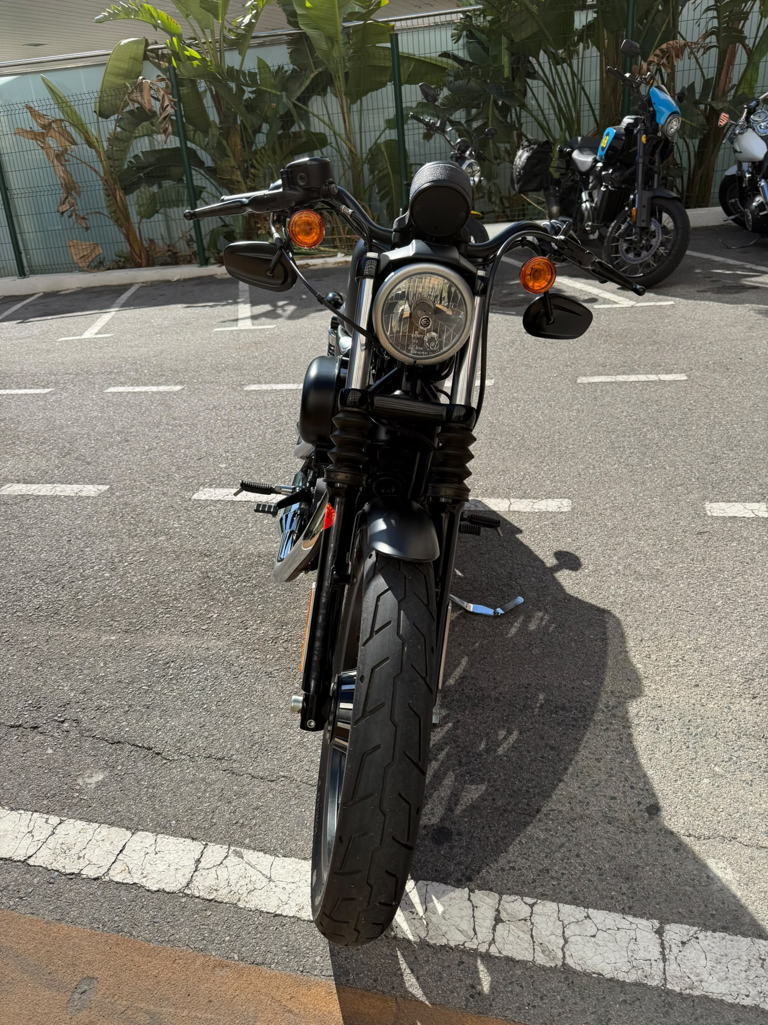 IRON 883 foto 7