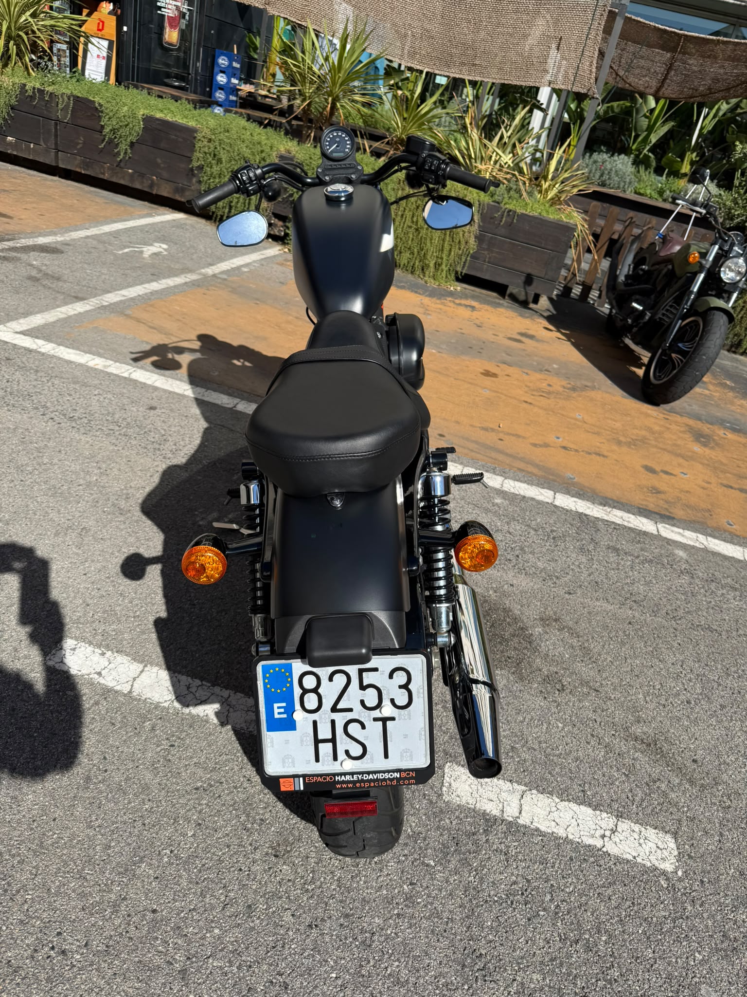 IRON 883 foto 8