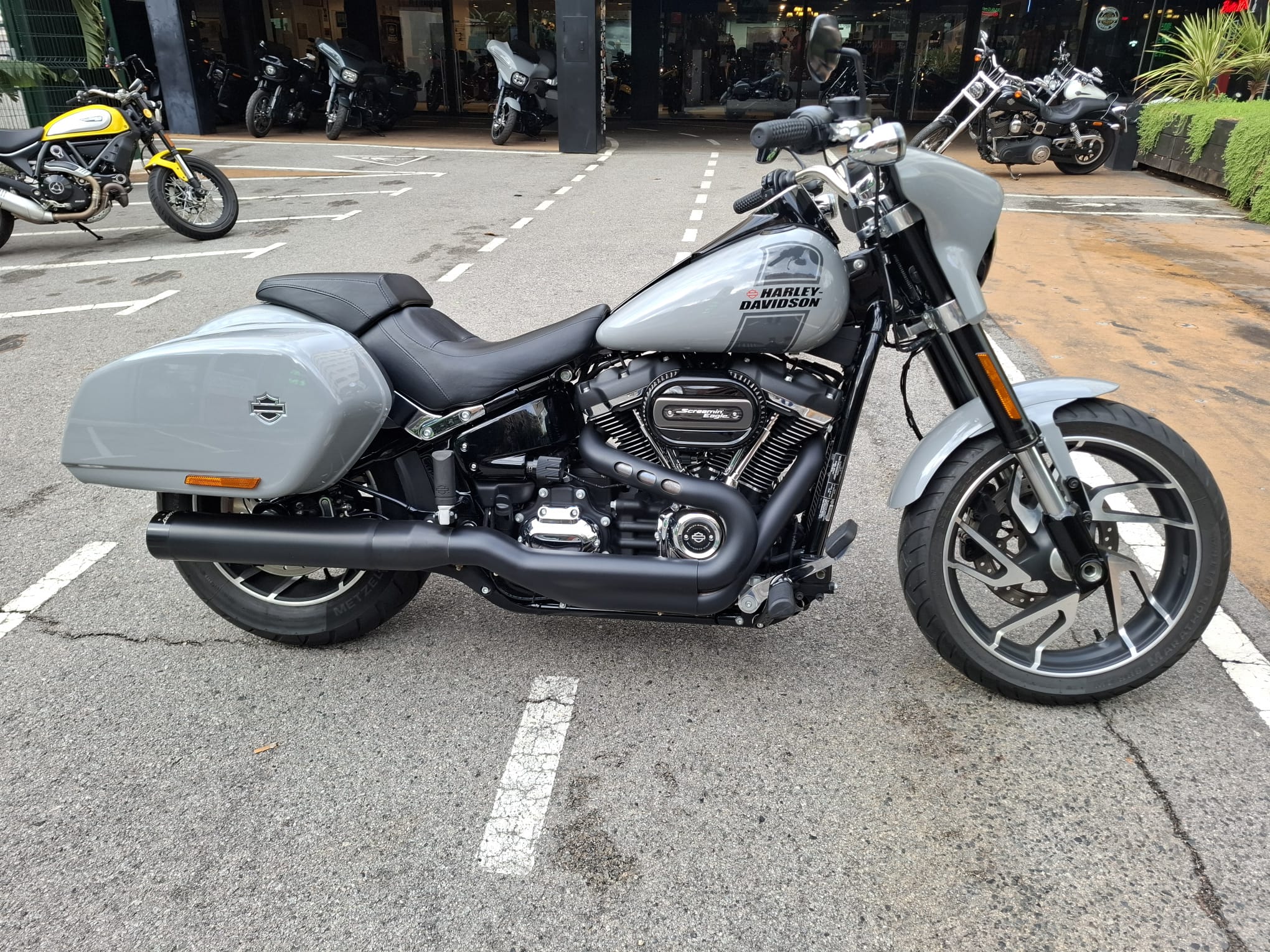 SPORT GLIDE foto 2