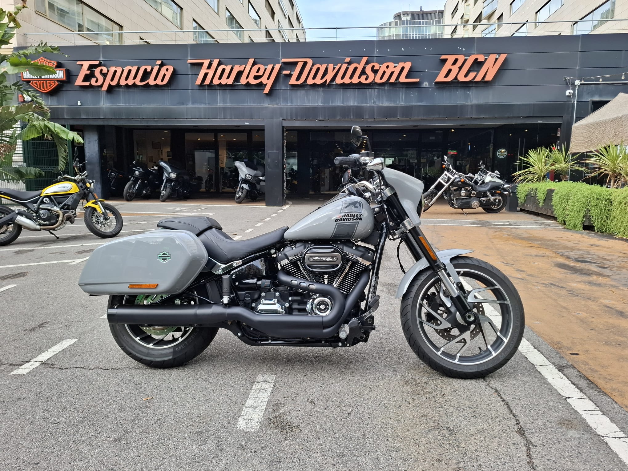 SPORT GLIDE 2024 ocasión en Barcelona