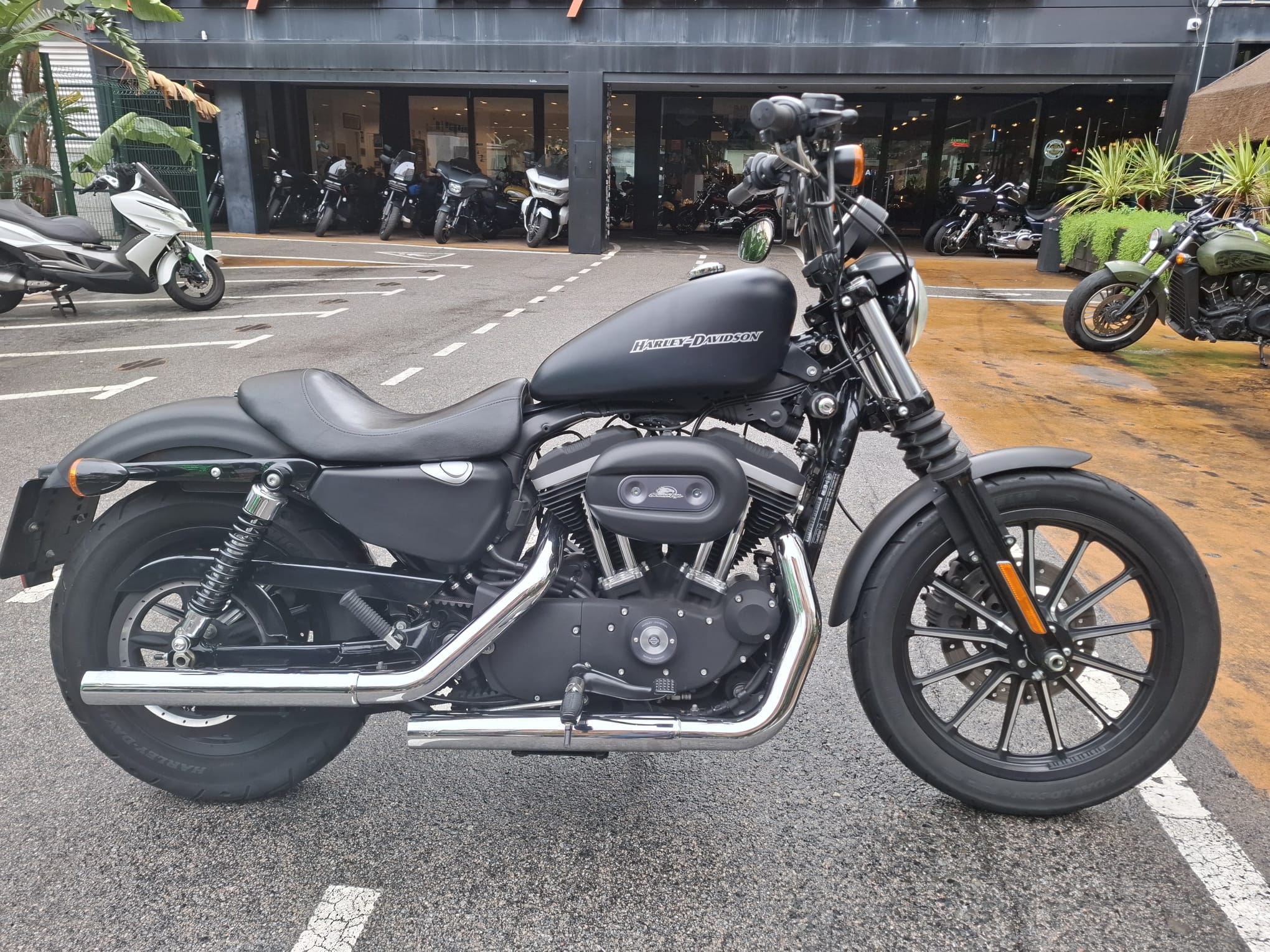 XL 883 N — IRON foto 2
