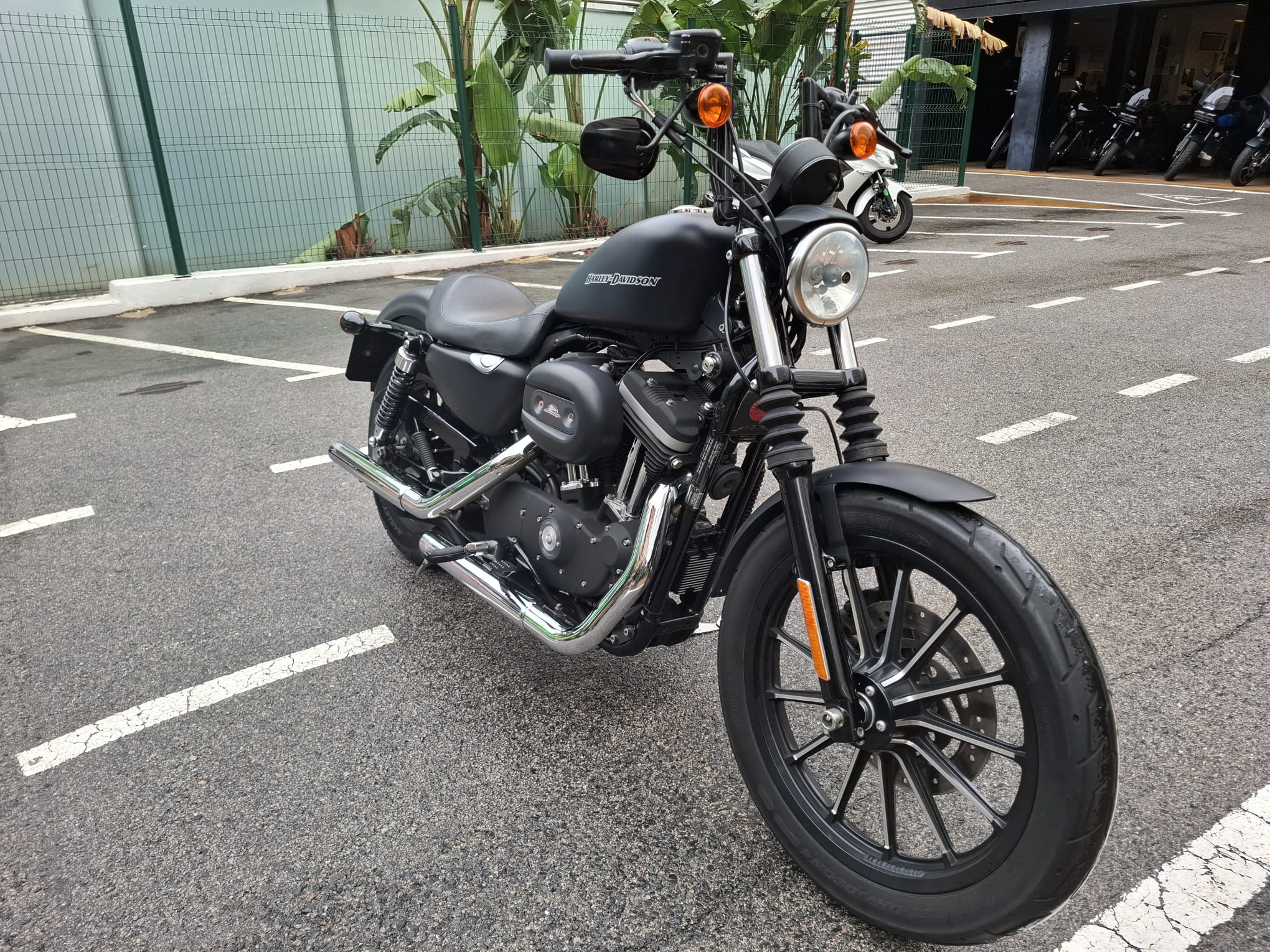 XL 883 N — IRON foto 3