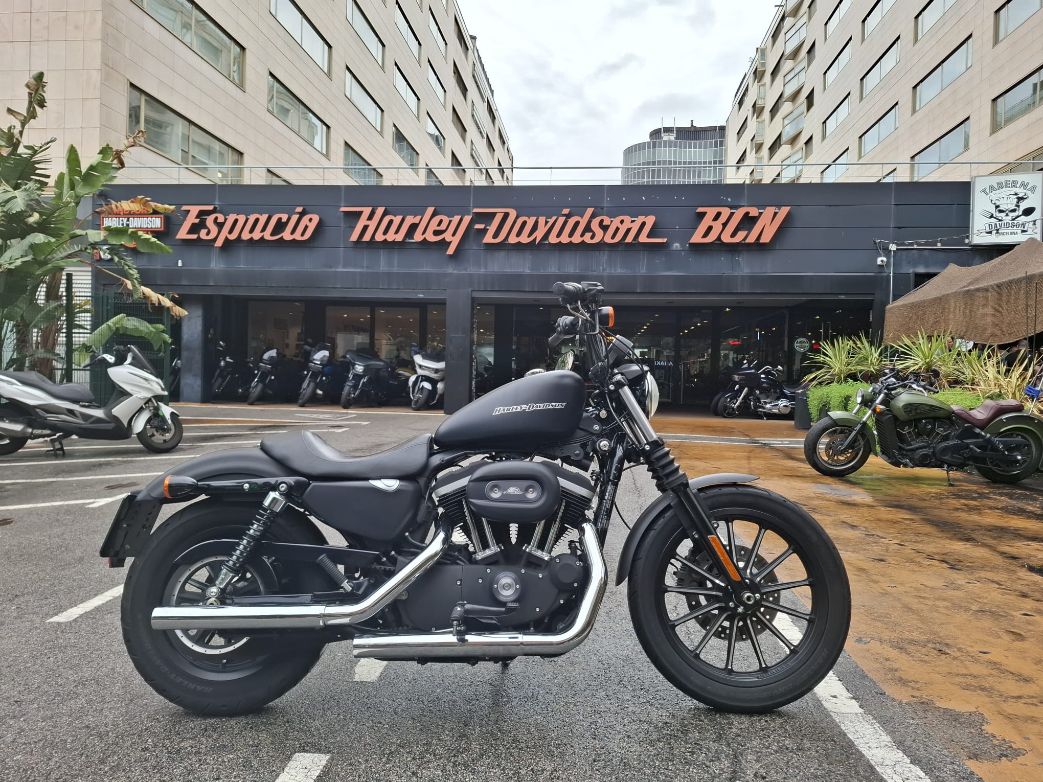 XL 883 N — IRON 2011 ocasión en Barcelona