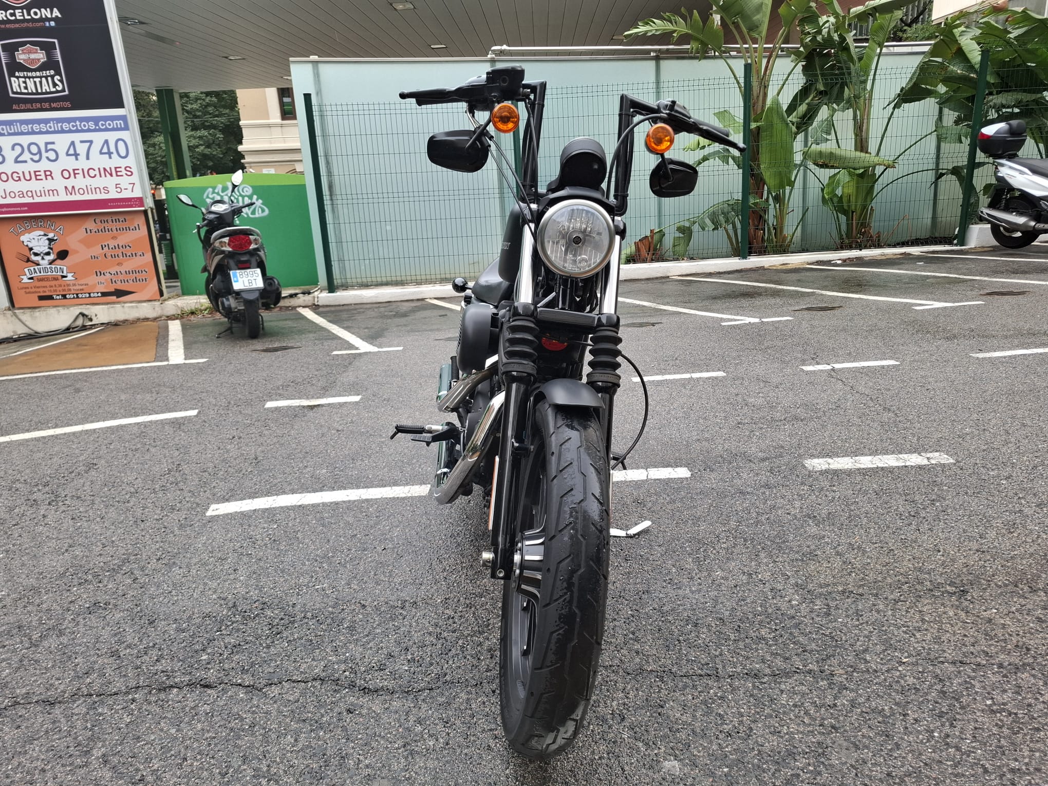 XL 883 N — IRON foto 9