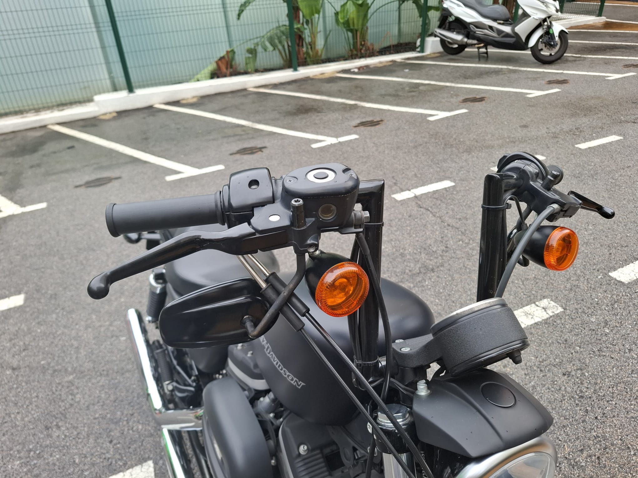 XL 883 N — IRON foto 10