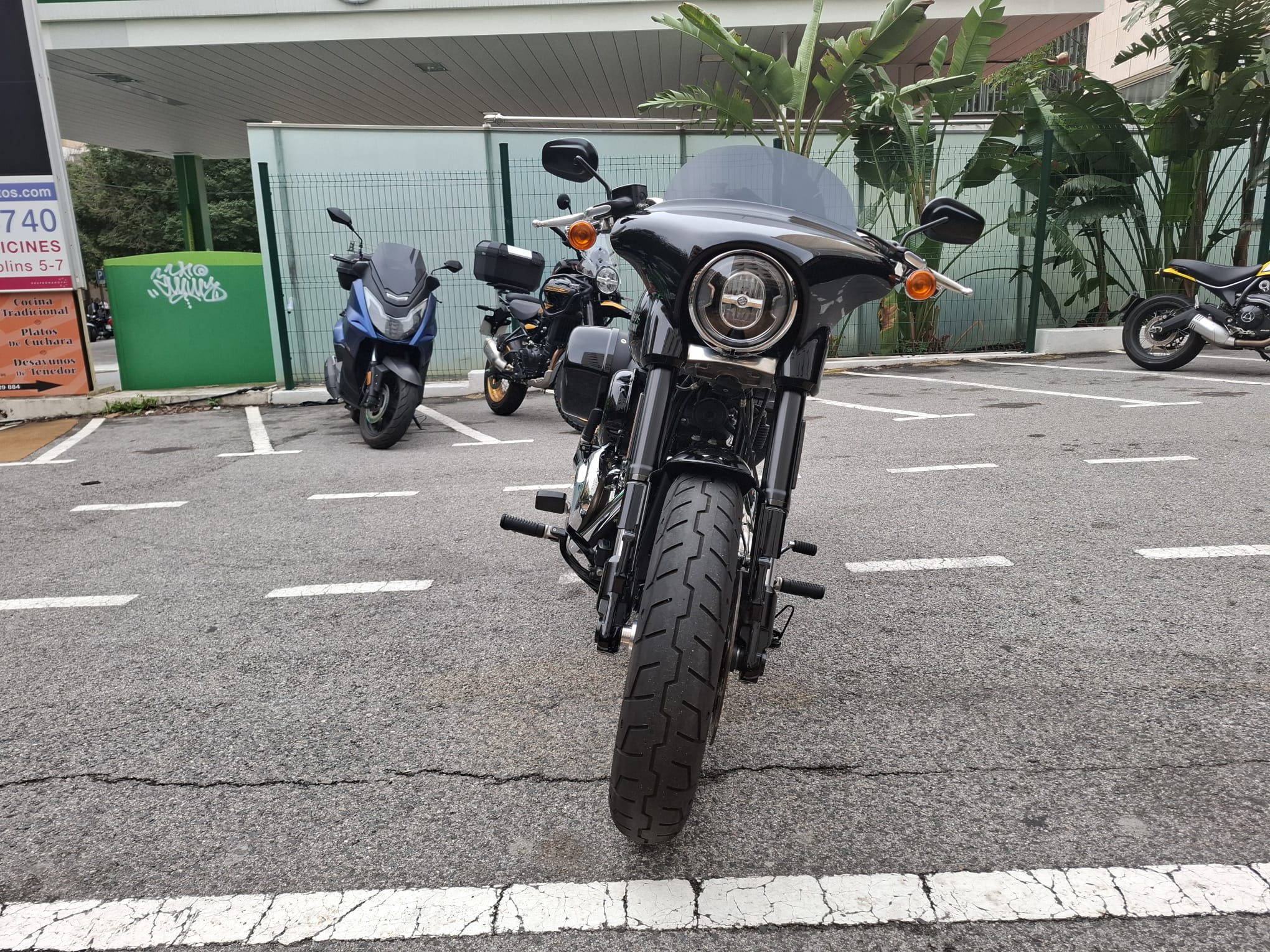 SPORT GLIDE foto 10