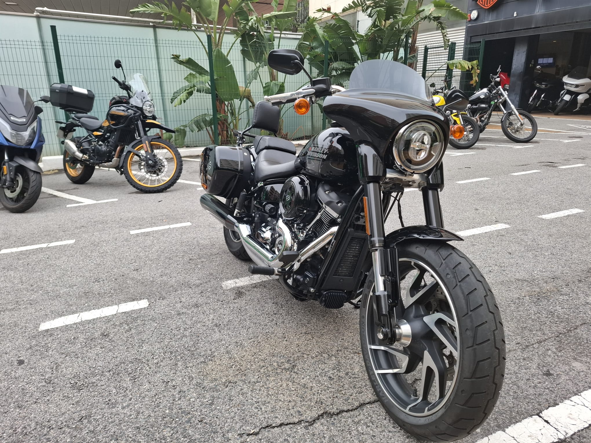 SPORT GLIDE foto 11