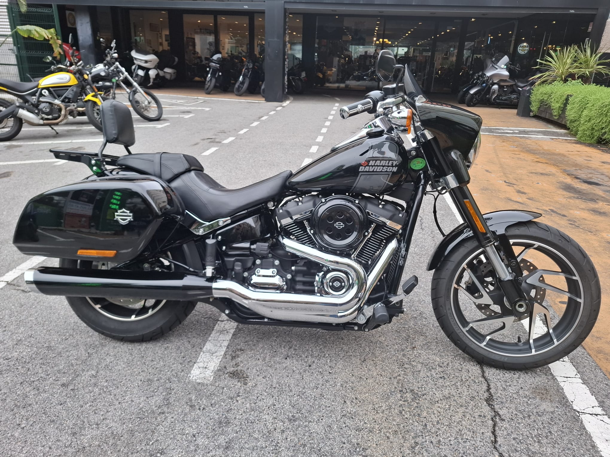 SPORT GLIDE foto 12