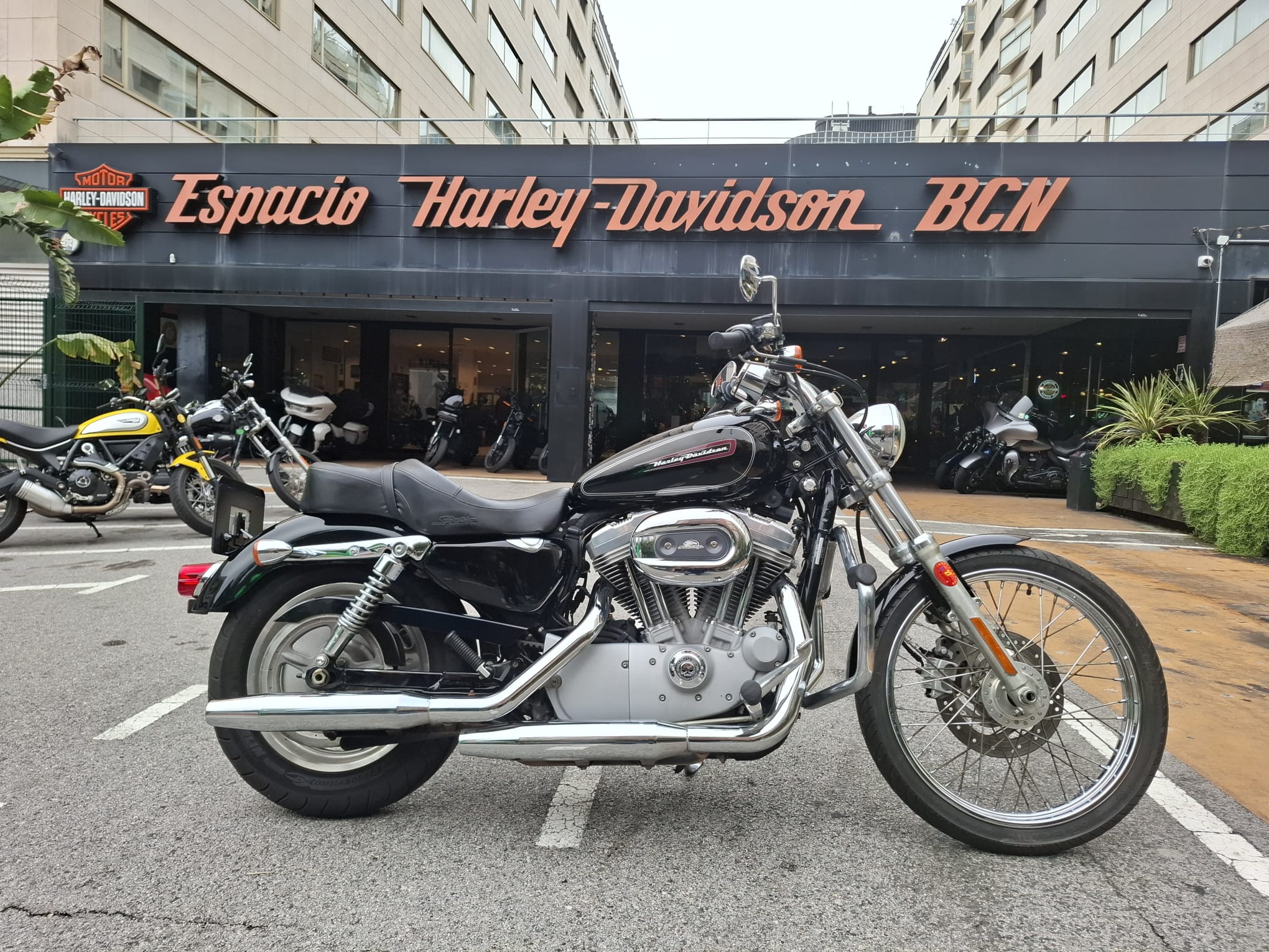 XL 883 CUSTOM 2009 ocasión en Barcelona