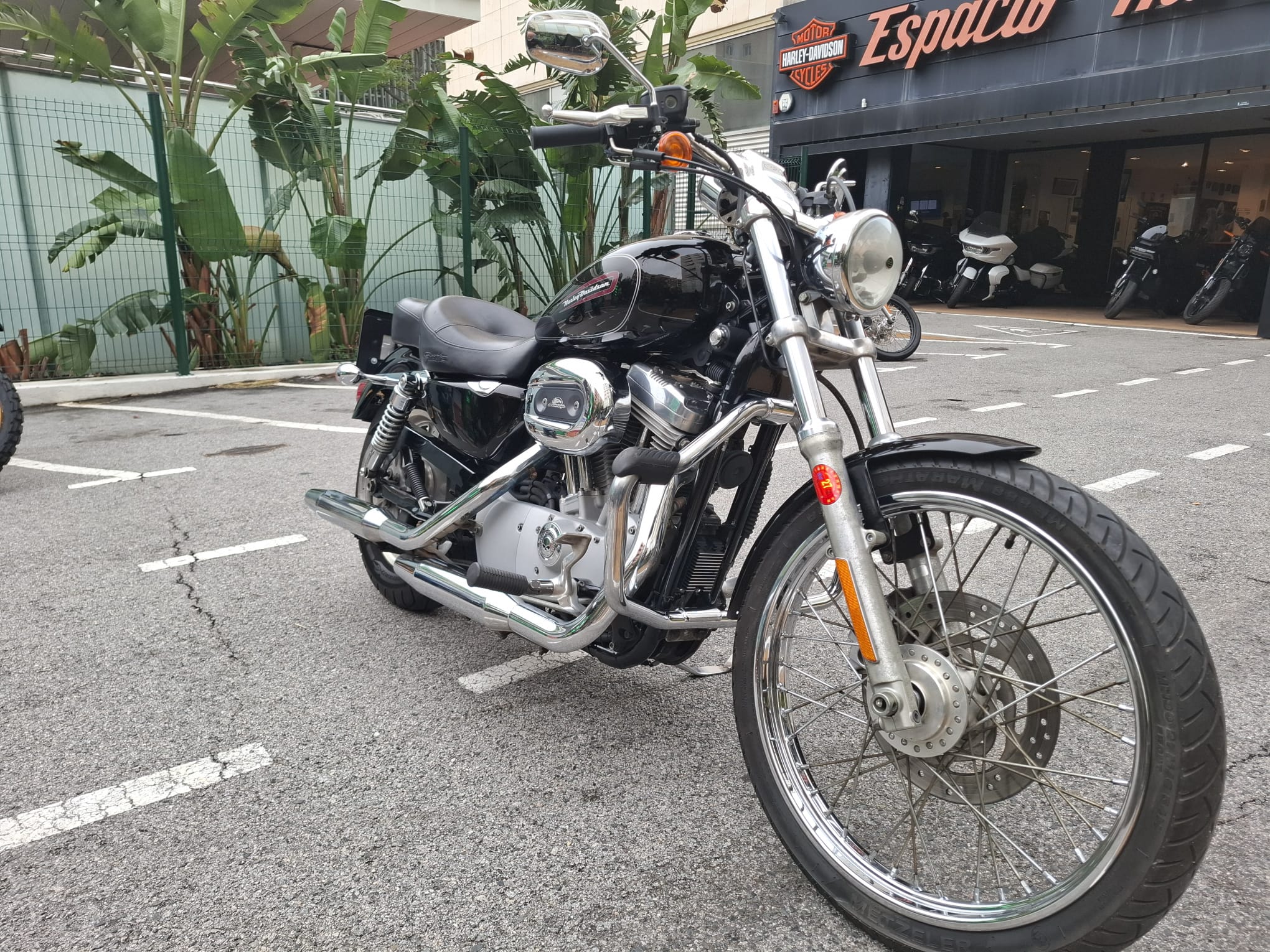 XL 883 CUSTOM foto 3