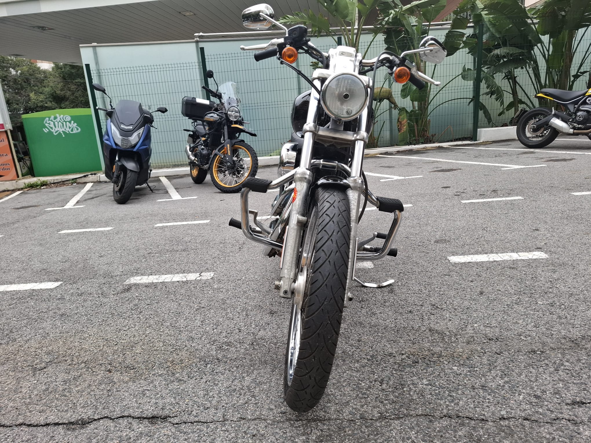 XL 883 CUSTOM foto 4